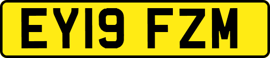 EY19FZM