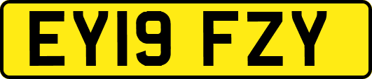 EY19FZY
