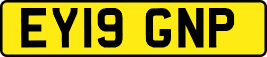 EY19GNP