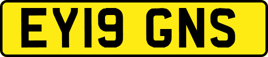 EY19GNS