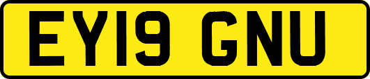 EY19GNU