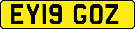 EY19GOZ