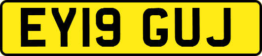 EY19GUJ