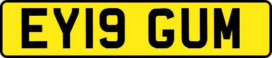 EY19GUM