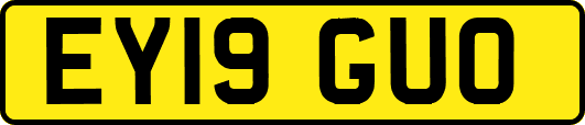 EY19GUO