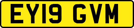 EY19GVM