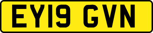 EY19GVN