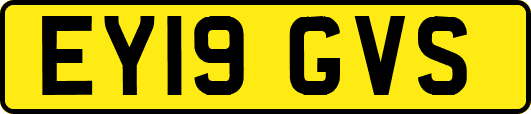EY19GVS