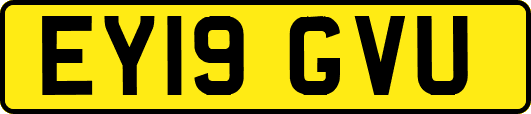 EY19GVU