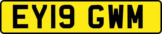 EY19GWM