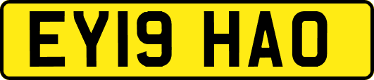 EY19HAO