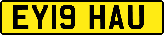 EY19HAU