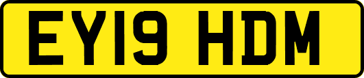 EY19HDM