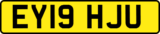EY19HJU
