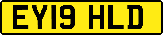 EY19HLD