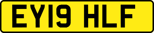 EY19HLF