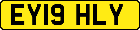 EY19HLY
