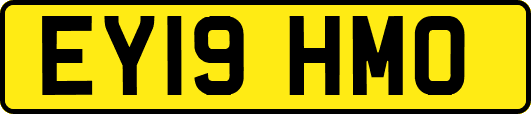 EY19HMO