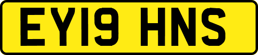 EY19HNS