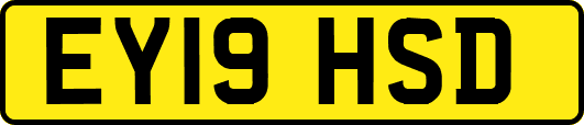 EY19HSD