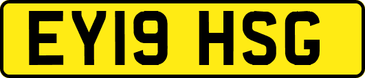 EY19HSG