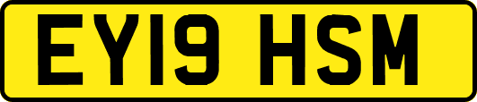 EY19HSM