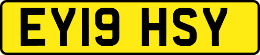 EY19HSY