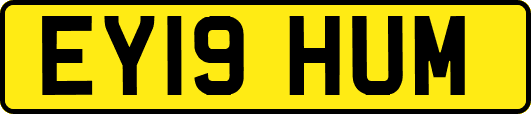 EY19HUM