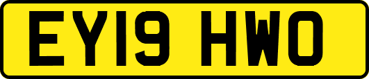 EY19HWO