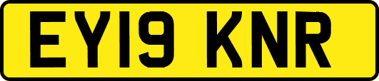 EY19KNR