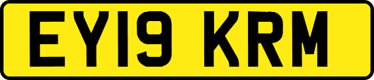 EY19KRM