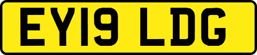 EY19LDG
