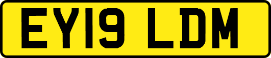 EY19LDM