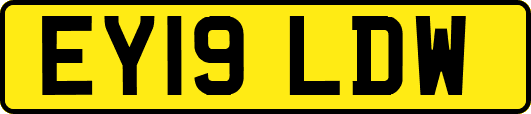 EY19LDW