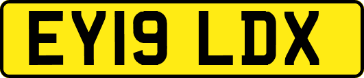 EY19LDX