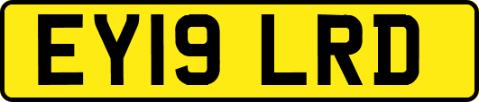 EY19LRD