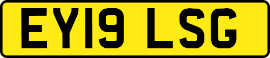 EY19LSG