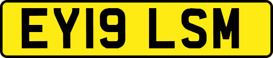 EY19LSM