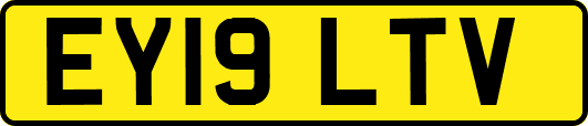 EY19LTV