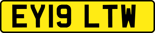 EY19LTW