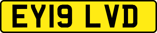 EY19LVD