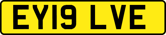 EY19LVE