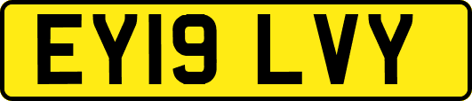 EY19LVY