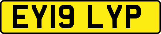 EY19LYP