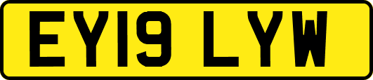 EY19LYW
