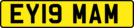 EY19MAM