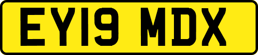 EY19MDX