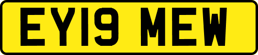 EY19MEW