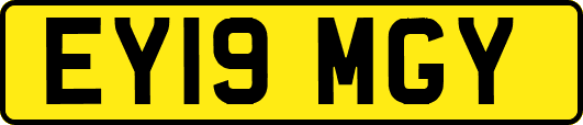 EY19MGY