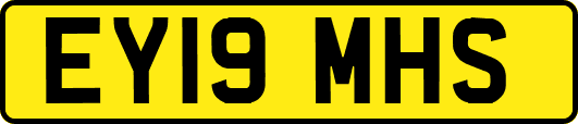 EY19MHS